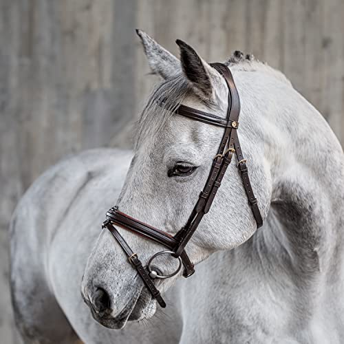 Sunride englisch kombinierte Trense Hawaii mit Zügel, aus weichem Echtleder, farbig unterlegt, verstellbar und anatomisch (Pony, braun/Cognac) von SUNRIDE