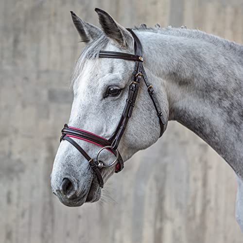 SUNRIDE englisch kombinierte Trense Hawaii mit Zügel, aus weichem Echtleder, farbig unterlegt, verstellbar und anatomisch (Pony, braun/pink) von SUNRIDE