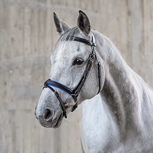 SUNRIDE englisch kombinierte Trense Hawaii mit Zügel, aus weichem Echtleder, farbig unterlegt, verstellbar und anatomisch (Pony, schwarz/blau) von SUNRIDE