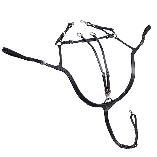 SUNRIDE Vorderzeug Ascot aus Echtleder mit Martingal - für Pferde - als 5-Punkt und 3-Punkt nutzbar - Martingal-Ringe zum Öffnen für schnelles Einfädeln der Zügel (Cob, schwarz) von SUNRIDE