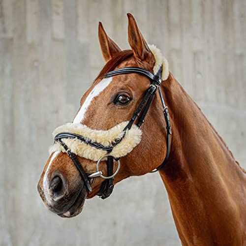 Sunride schwedische Trense Oxford mit Zügel - aus weichem Echtleder mit Fell, verstellbar und anatomisch (Pony, schwarz) von SUNRIDE