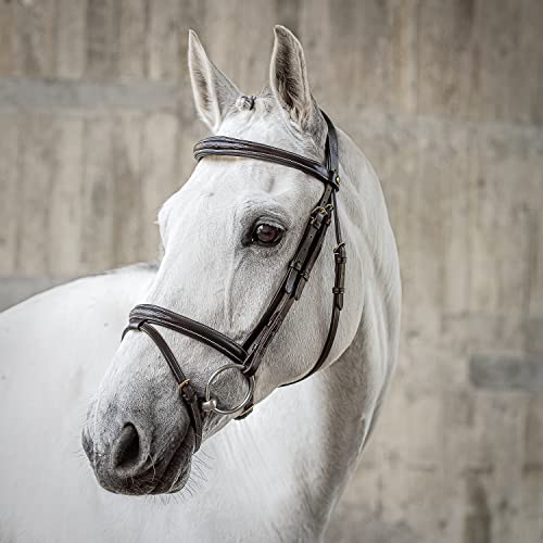 SUNRIDE Englisch kombinierte Trense für Pferde (London) - mit Zügeln - weiches Echtleder - extra Polsterung - anatomisch, verstellbar - handgefertigt - mit Ziernähten - rostfrei - braun (Pony) von SUNRIDE