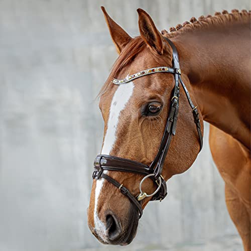Sunride schwedische Trense Aspen mit Zügel, aus weichem Echtleder mit Lack, verstellbar und anatomisch (Pony, braun) von SUNRIDE