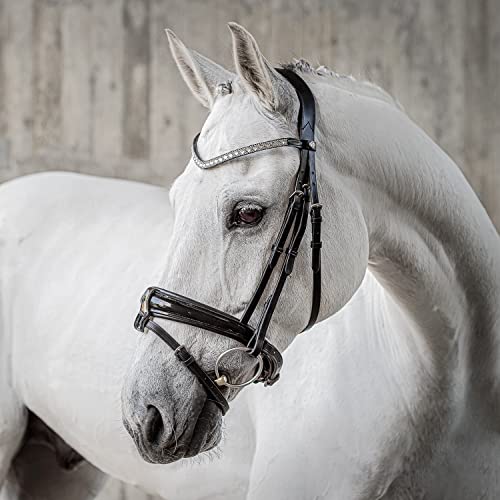 Sunride schwedische Trense Aspen mit Zügel, aus weichem Echtleder mit Lack, verstellbar und anatomisch (Pony, schwarz) von SUNRIDE