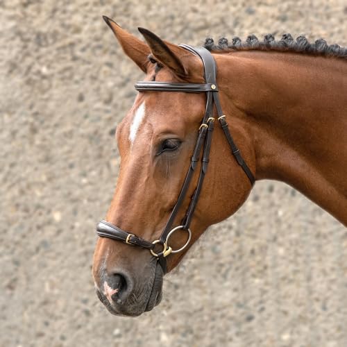 SUNRIDE hannoveranische Trense (Hannover) mit Zügel aus erstklassigem Echtleder für entspanntes Reiten (Pony, braun) von SUNRIDE