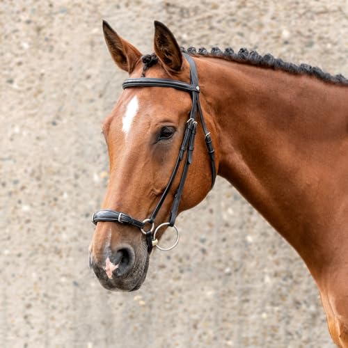 SUNRIDE Hannoveranische Trense für Pferde (Hannover) - mit Zügeln - weiches Echtleder - extra Polsterung - anatomisch, verstellbar - handgefertigt - rostfrei - schwarz (Pony) von SUNRIDE