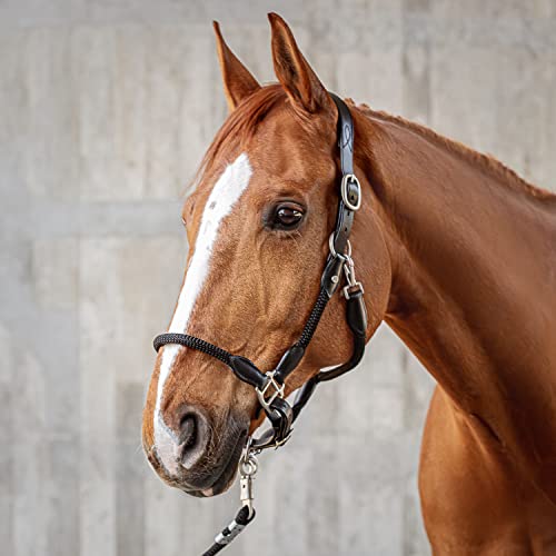 SUNRIDE Halfter für Pferde aus Echtleder (Denver) mit Strick - verstellbar, gepolstert und anatomisch (Pony, schwarz) von SUNRIDE