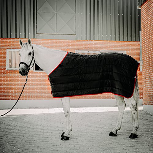 SUNRIDE Unterdecke für Pferde 300g - flexibel kombinierbar mit unseren Winterdecken und Regendecken (105 cm) von SUNRIDE