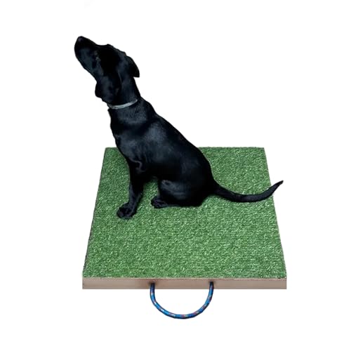 SUNUCO Hundetraining Platzbrett, Kunstrasenbrett - Hundetrainingsplattform, hilft bei Welpen- und Kleinrassen-Hundetraining, Gehorsamspraxis, Aufmerksamkeit und Befehlsausführung von SUNUCO