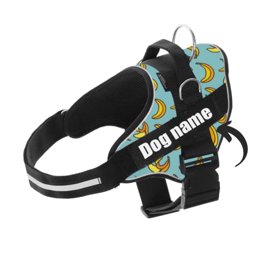 Personalisiertes Hundegeschirr - Reflektierendes und sicheres Hundegeschirr - Brustgeschirr mit 2 Namensschildern - Geschirr für kleine, Mittlere und Große Hunde (Blue Banana, M 13-22KG) von SUPER DOGGY