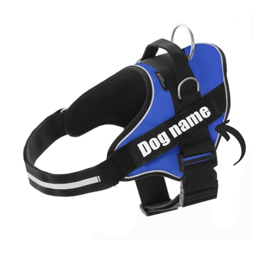 Personalisiertes Hundegeschirr - Reflektierendes und sicheres Hundegeschirr - Enthält 2 Namensschilder, Klein, Mittel und Groß - Qualität und Beständigkeit (Azul, L 21-32K) von SUPER DOGGY