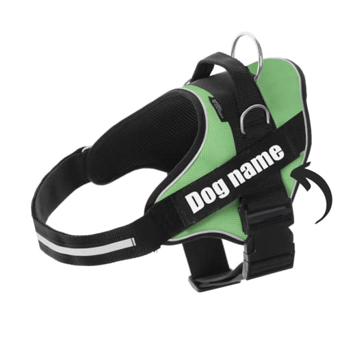 SUPER DOGGY Personalisiertes Hundegeschirr - Reflektierendes und sicheres Hundegeschirr - Enthält 2 Namensschilder, Klein, Mittel und Groß - Qualität und Beständigkeit (Verde, M 13-22KG) von SUPER DOGGY