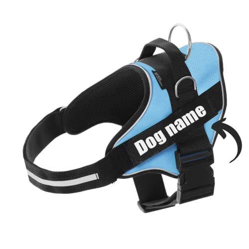 SUPER DOGGY Personalisiertes Hundegeschirr - Reflektierendes und sicheres Hundegeschirr - Enthält 2 Namensschilder, Klein, Mittel und Groß - Qualität und Beständigkeit (Azul Claro, M 13-22KG) von SUPER DOGGY