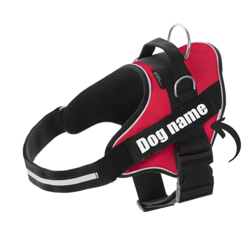 SUPER DOGGY Personalisiertes Hundegeschirr - Reflektierendes und sicheres Hundegeschirr - Enthält 2 Namensschilder, Klein, Mittel und Groß - Qualität und Beständigkeit (Rojo, XS 3-7KG) von SUPER DOGGY