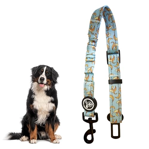 SUPER DOGGY Sicherheitsgurt für Hunde Verstellbar mit elastischer Dämpfung - Mit einzigartigen Designs für alle Fahrzeugtypen (50-75 cm) (Blue Bananas) von SUPER DOGGY