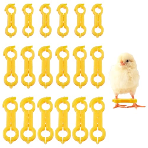 SUPERFINDINGS 18 Stück 3 Stile Spreizbein Hobble Orthese Für Junge Küken Spreizbein Hobble Orthese Für Junge Hühnerpapageien Spreizbein Hobble Kükenbein Orthesen Set Für Neugeborene Spreizbeine von SUPERFINDINGS