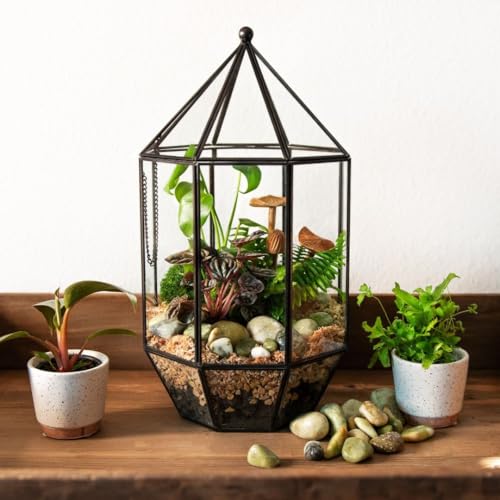 SuperMoss Glas-Terrarium (90405) – Elegante Gartendekoration für den Innenbereich, Pflanzenliebhaber, Moderne Dekoration für Zuhause und Büro, 19,1 x 19,1 x 35,6 cm, Gewächshaus von SUPERMOSS