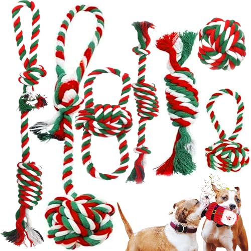 SUPERPAWS Seilspielzeug für Hunde, 8 Stück, Kauspielzeug für große, kleine, mittelgroße Hunde zum Kauen, Zahnen, sauberes Spieltraining mit Quietschspielzeug von SUPERPAWS