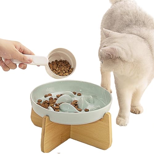 Slow Feeder Katzennapf mit Ständer, Keramik Langsam Fressen Katzennapf Fischpool Design Erhöhte Katzenfutterschale für Trocken- und Nassfutter Anti-Erbrechen Katzenpuzzle Feeder für gesunde Ernährung Slow Feeder Katzennapf mit Ständer, Keramik Langsam Fressen Katzennapf Fischpool Design Erhöhte Katzenfutterschale für Trocken- und Nassfutter Anti-Erbrechen Katzenpuzzle Feeder für gesunde Ernährung von SUPERPAWS