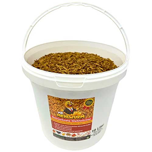 Mr. Mehlwurm 10 Liter getrocknete Mehlwürmer im Eimer (ca. 1,6 kg)- getrocknete Insekten - Top Premium Qualität, GRATIS Versand mit DHL - Futter Snack von SUPERWURM