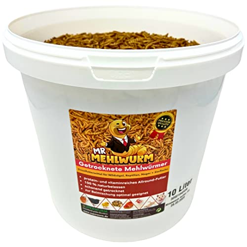 Mr. Mehlwurm 10 Liter getrocknete Mehlwürmer im Eimer (ca. 1,6 kg)- getrocknete Insekten - Top Premium Qualität, GRATIS Versand mit DHL - Futter Snack von SUPERWURM