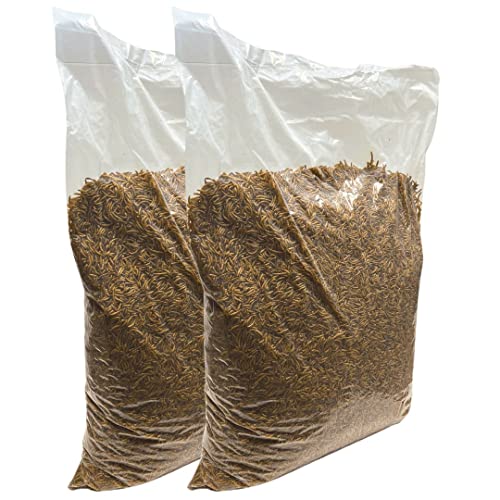 SUPERWURM 10 Kg getrocknete Mehlwürmer - Insekten getrocknet - Futter Snack für Fische, Wildvögel, Igel, Wachtel, Hamster, Ideales Igelfutter, Vogelfutter von SUPERWURM