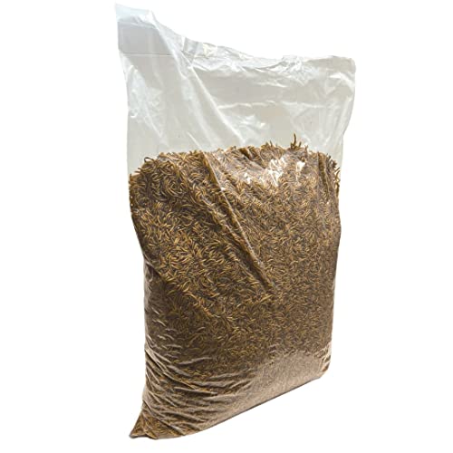 SUPERWURM 5 Kg getrocknete Mehlwürmer - Insekten getrocknet - Futter Snack für Fische, Wildvögel, Igel, Wachtel, Hamster, Ideales Igelfutter, Vogelfutter von SUPERWURM