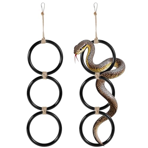 2 Stück Schlange Kletterringe, Schlangen Beschäftigungsspielzeug Reptilien Terrarium Zubehör Dekorative Lebensraumzubehör Swing Kette Spielzeugdekoration Interaktiv für Terrarien Bärtige Drachen 2 Stück Schlange Kletterringe, Schlangen Beschäftigungsspielzeug Reptilien Terrarium Zubehör Dekorative Lebensraumzubehör Swing Kette Spielzeugdekoration Interaktiv für Terrarien Bärtige Drachen von SUPPUIMNT