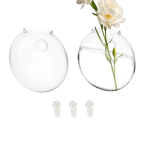 2 Stück Wandbehang Glas Pflanzgefäße, Glaspflanzgefäße Hängende Anzuchtstation Wandmontierte Schüssel Klarer Blumentopf für Aquarien Conteneur für Home Office Dekor(2) von SUPPUIMNT