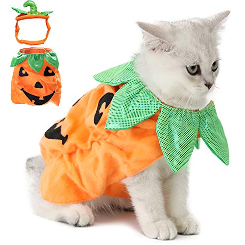 Legendog Katzen Halloween Kleidung, Katzen-Kleid-Kürbis-Entwurfs-lustige Haustier-Kleidung Katzen-Halloween-Kostüm mit Kürbis Headwear von SUPTMAX
