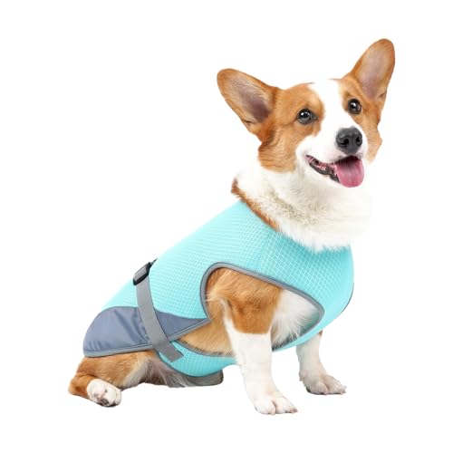 Kühlshirt für Hunde, Kühlweste für Hunde, Atmungsaktive Kühljacke für Hunde, Leichtes Kühlshirt für Haustiere für Sommeraktivitäten Im Freien (Hellblau) von SUPYINI