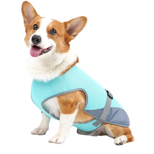 Kühlshirt Hunde, Kühlweste Hunde, Atmungsaktive Kühljacke Hunde, Leichtes Kühlshirt Haustiere Sommeraktivitäten Im Freien (Hellblau) von SUPYINI
