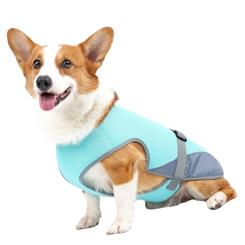 Kühlshirt Hunde, Kühlweste Hunde, Atmungsaktive Kühljacke Hunde, Leichtes Kühlshirt Haustiere Sommeraktivitäten Im Freien (Hellblau) von SUPYINI