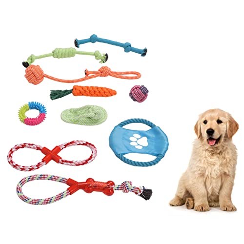 SUPYINI 10 Stück Haustier-Baumwollseilspielzeug, Hundeseilspielzeug, Interaktives Buntes Welpen-Kaubackenspielzeug für Mittelgroße und Große Hunde SUPYINI 10 Stück Haustier-Baumwollseilspielzeug, Hundeseilspielzeug, Interaktives Buntes Welpen-Kaubackenspielzeug für Mittelgroße und Große Hunde von SUPYINI