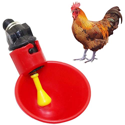 SUPYINI Chicken Feeder Who 20 x 12 x 5 5 Stück Automatische Trinkflasche Geflügel Trinkwasser Becher Kunststoff Trinkschale für Geflügel Huhn Vögel Hühnerstall (Trinkschale) von SUPYINI