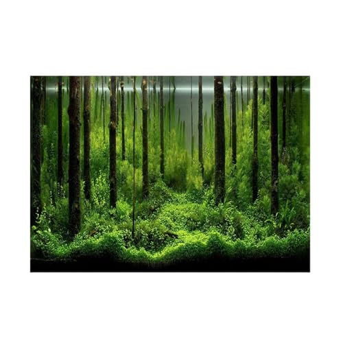 SUPYINI PVC-Kleber Unterwasser Wald Tank Hintergrund Poster Hintergrund Dekoration Papier Aquarium Aufkleber (76 * 46cm) von SUPYINI