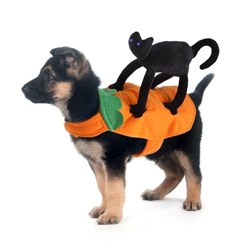 SUREH Haustier-Halloween-Kostüme für Hunde, Weiche Haustier-Hundekleidung, Haustier-Halloween-Kleidung mit Schwarzer Katze für Kleine, Mittelgroße und Große Hunde, Haustierkostüm(M) von SUREH