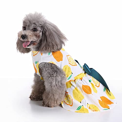 SUSOSU Haustier Kleidung Hunderock Wasserdruck Hundekleidung Rock Kleider für Kleine Mädchen Hunde Niedliche Haustierkleidung,Gelb,L von SUSOSU