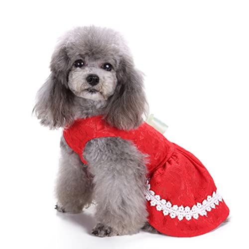 SUSOSU Haustier Kleidung Hunderock Wasserdruck Hundekleidung Rock Kleider für Kleine Mädchen Hunde Niedliche Haustierkleidung,Red 6,L von SUSOSU