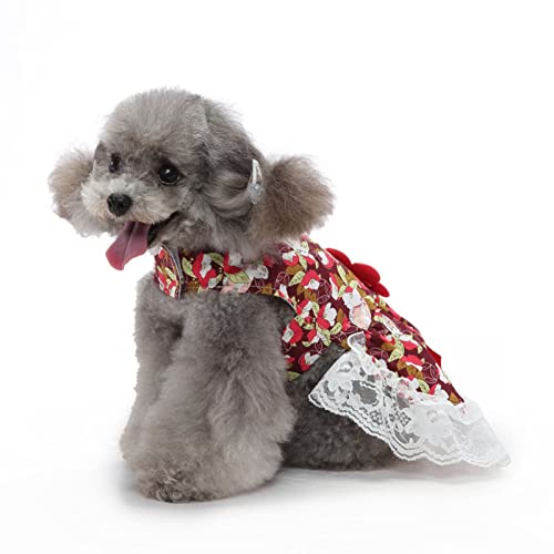 SUSOSU Haustier Kleidung Kleider Hundekleidung Smoking-Miniröcke Kätzchen Welpen Haustier Abendkleider,Red2,XL von SUSOSU