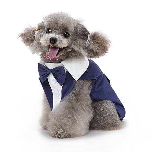 SUSOSU Hunde-Smoking-Welpen-Kleidung Modischer Anzug Fliege Hochzeitshemd Formelles Kleid Smoking-Krawatte Hunde-Fotoanzug,Blue1,M von SUSOSU