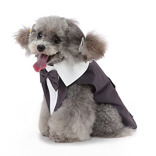 SUSOSU Hunde-Smoking-Welpen-Kleidung Modischer Anzug Fliege Hochzeitshemd Formelles Kleid Smoking-Krawatte Hunde-Fotoanzug,Gray1,XL von SUSOSU