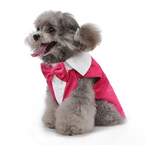 SUSOSU Hunde-Smoking-Welpen-Kleidung Modischer Anzug Fliege Hochzeitshemd Formelles Kleid Smoking-Krawatte Hunde-Fotoanzug,Rose red,XL von SUSOSU