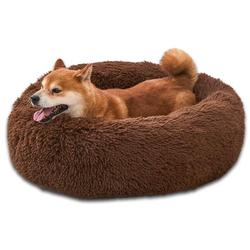 Comfort Donut-Hundebett – ultraweiches Haustierbett mit Nackenstütze, 3 Größen (maschinenwaschbar) für kleine, mittelgroße und große Hunde und Katzen, Kaffee, 61 x 61 x 20 cm (L x B x T) von SUVAMJAM