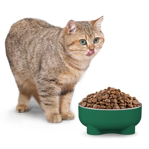 SUW Wassernapf für Katzen mit erhöhtem Futternapf für kleine Kätzchen und Welpen, Edelstahl, für Hunde und Katzen, Grün SUW Wassernapf für Katzen mit erhöhtem Futternapf für kleine Kätzchen und Welpen, Edelstahl, für Hunde und Katzen, Grün von SUW