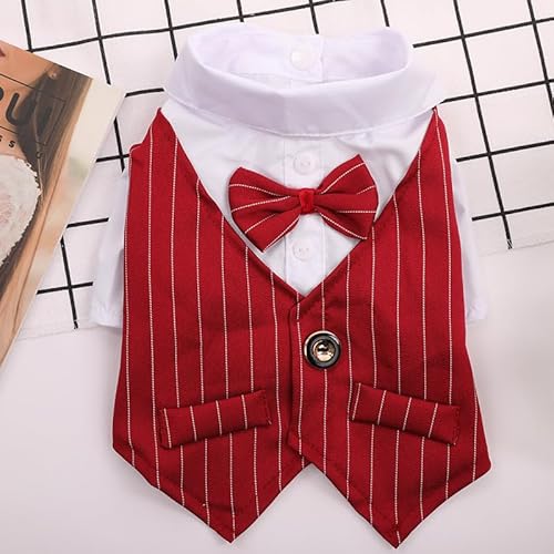 suxuMhao Hunde- und Katzenanzug, atmungsaktives Haustier-Shirt, Welpen-Sweatshirt, Hundekleidung, Outfit, Mäntel für kleine, mittelgroße Hunde und Katzen, Weinrot, Größe XL suxuMhao Hunde- und Katzenanzug, atmungsaktives Haustier-Shirt, Welpen-Sweatshirt, Hundekleidung, Outfit, Mäntel für kleine, mittelgroße Hunde und Katzen, Weinrot, Größe XL von SUXUMHAO