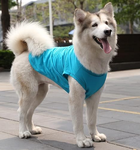 suxuMhao Hunde- und Katzenweste, atmungsaktive Haustierweste, Welpen-Sweatshirt, Hundekleidung, Outfit, Bekleidung für kleine, mittelgroße Hunde und Katzen, M, A32 suxuMhao Hunde- und Katzenweste, atmungsaktive Haustierweste, Welpen-Sweatshirt, Hundekleidung, Outfit, Bekleidung für kleine, mittelgroße Hunde und Katzen, M, A32 von SUXUMHAO