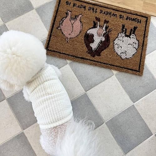 suxuMhao Hunde- und Katzenweste, atmungsaktive Haustierweste, Welpen-Sweatshirt, Hundekleidung, Outfit, Bekleidung für kleine, mittelgroße Hunde und Katzen, S, A77 suxuMhao Hunde- und Katzenweste, atmungsaktive Haustierweste, Welpen-Sweatshirt, Hundekleidung, Outfit, Bekleidung für kleine, mittelgroße Hunde und Katzen, S, A77 von SUXUMHAO