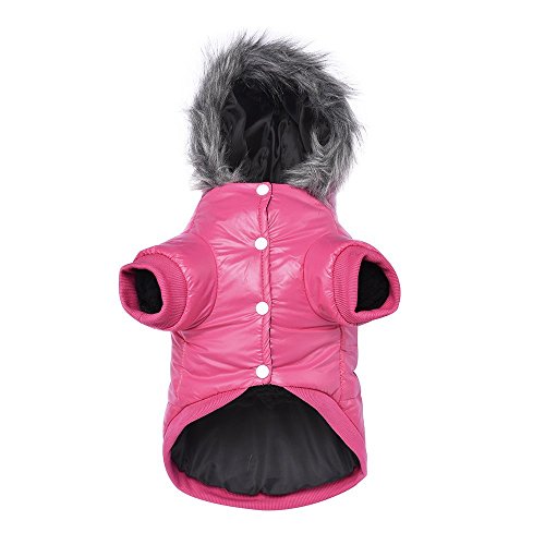 suxuMhao Hundemantel für kleine Hunde, warme Hunde-Winterjacke, winddicht, Pufferjacke für kleine Hunde, Welpen, Rosa, Größe L suxuMhao Hundemantel für kleine Hunde, warme Hunde-Winterjacke, winddicht, Pufferjacke für kleine Hunde, Welpen, Rosa, Größe L von SUXUMHAO