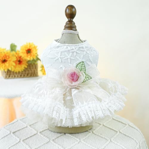 suxuMhao Süßes Welpen-Hundekleid, süßes Prinzessinnenkleid, Katzenkleid, Hunderock für kleine Mädchen (A18, S) von SUXUMHAO